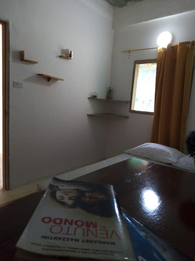 Hostal Paloma Cafe Palomino Zewnętrze zdjęcie
